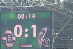 H-gegen-Freiburg-2008-1201