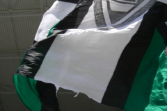 H-gegen-Freiburg-2008-1219