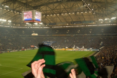 2008-11-22-Schalke-1185