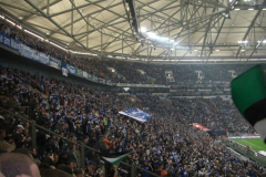 2008-11-22-Schalke-1186