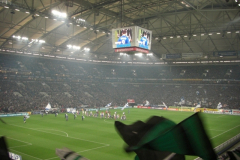2008-11-22-Schalke-1188