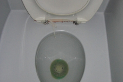 2009-05-13-in-Cottbus-1170