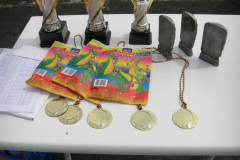 Buegeleisencup-2010-1182