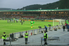 DFB-Pokal-2010-in-Aue-1194