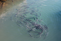 1.Trainingslagertag-1230