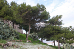 2.Trainingslagertag-1216