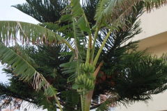 2.Trainingslagertag-1233