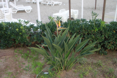 2.Trainingslagertag-1235