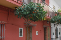 2.Trainingslagertag-1236