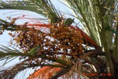 3.Trainingslagertag-1144