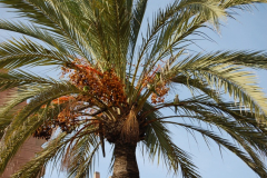 3.Trainingslagertag-1145