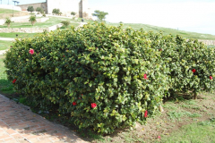 3.Trainingslagertag-1163