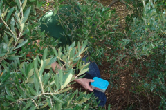 3.Trainingslagertag-1204