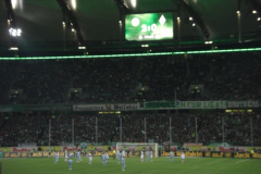 2011-02-Wolfsburg-1153