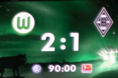 2011-02-Wolfsburg-1161