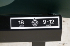 2011-gegen-AFC-Sunderland-1243