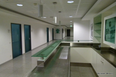 2011-gegen-AFC-Sunderland-1245