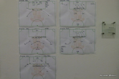 2011-gegen-AFC-Sunderland-1259