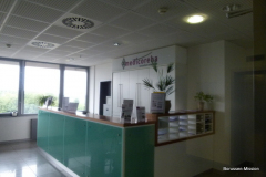 2011-gegen-AFC-Sunderland-1271