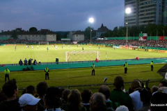20110729-Regensburg-DFB-Pokal-1.Rd-1194