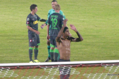 20110729-Regensburg-DFB-Pokal-1.Rd-1222