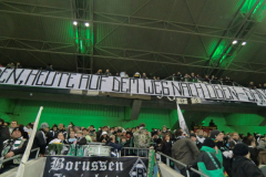 2011-12_AF-DFB-Pokal-gegen-S04-1153
