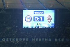 2012-02_VF-DFB-Pokal-in-berlin-1207