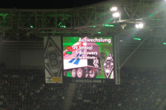 2012-03-DFB-HF-gegen-Munich-1202