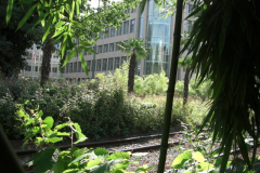 2012-13_in-Dusseldorp-1211