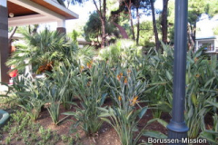 2012-WTL-Belek-Tuerkei-1224