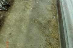 2012-WTL-Belek-Tuerkei-1403