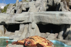 2012-WTL-Belek-Tuerkei-1621