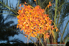 2012-WTL-Belek-Tuerkei-1687