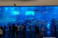 2013-TL-Dubai-2.Tag-1263