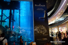 2013-TL-Dubai-2.Tag-1264