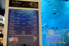 2013-TL-Dubai-2.Tag-1265