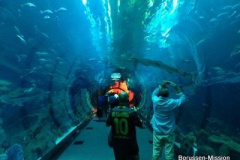 2013-TL-Dubai-2.Tag-1266