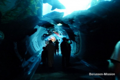 2013-TL-Dubai-2.Tag-1268