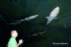 2013-TL-Dubai-2.Tag-1269