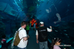 2013-TL-Dubai-2.Tag-1271