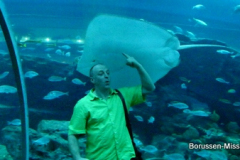 2013-TL-Dubai-2.Tag-1272