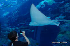 2013-TL-Dubai-2.Tag-1273