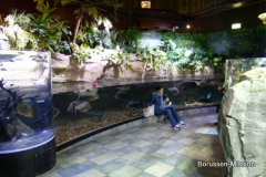 2013-TL-Dubai-2.Tag-1277