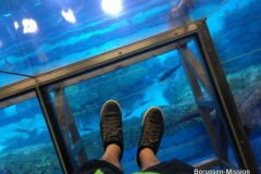 2013-TL-Dubai-2.Tag-1280