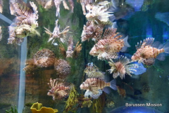 2013-TL-Dubai-2.Tag-1283