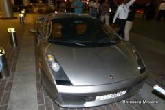 2013-TL-Dubai-3.Tag-1371