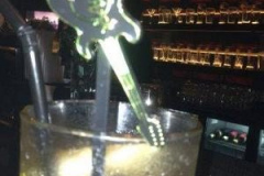 2013-TL-Dubai-3.Tag-1386