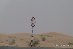 2013-TL-Dubai-4.Tag-1396