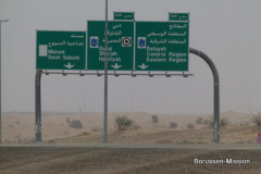 2013-TL-Dubai-4.Tag-1397