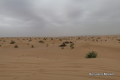 2013-TL-Dubai-4.Tag-1401